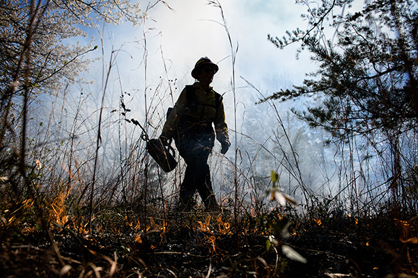 Silhouette of a firefighter tending to a brush fire.