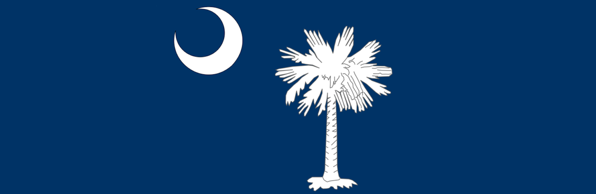 Image from State Flag with palmetto tree and crescent moon