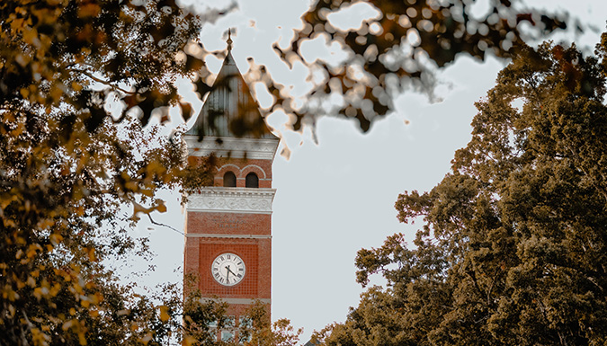 Fall on campus