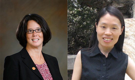 Dr. Michelle Cook and Dr. Meihua Qian