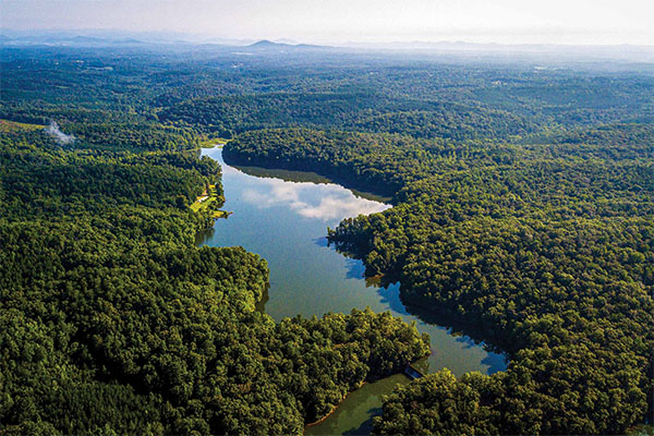 Lush green trees surrounding a large pond. The Blue Ridge mountains can be seen in the distance.