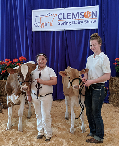 two girls with their dairy cows