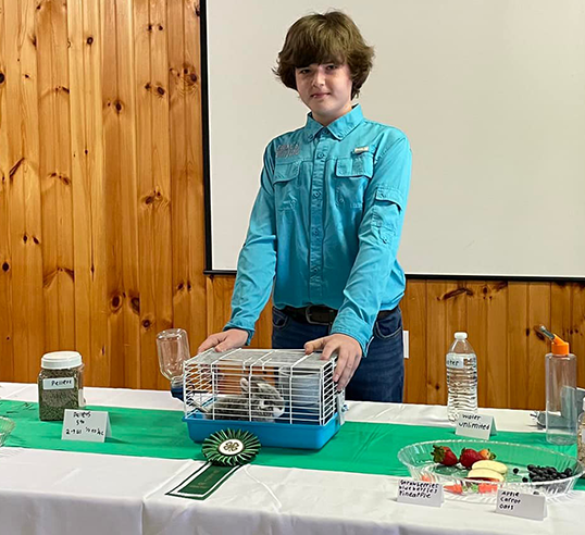 Boy presenting his rabbit