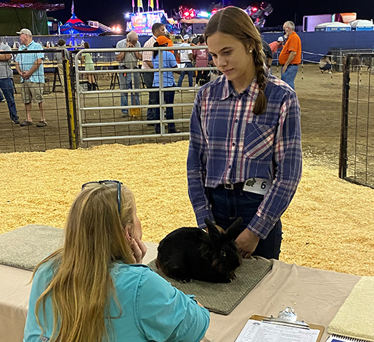 Girl showing her rabbit