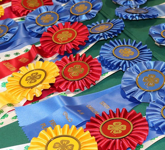 show ribbons