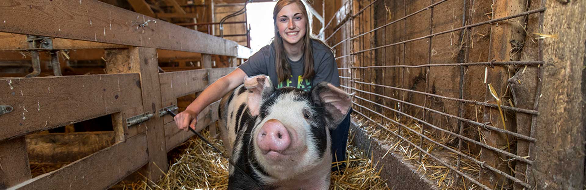 girl with pig in a barn