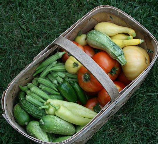 basket of vegetables