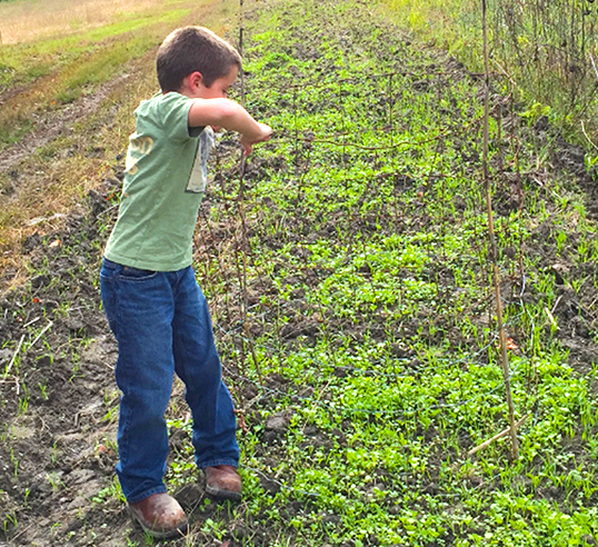 boy in food plot