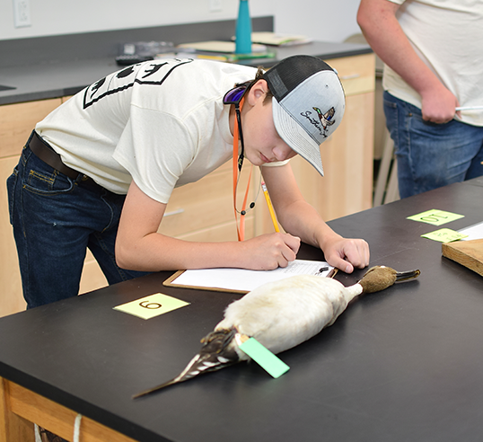 WHEP participant studying a bird