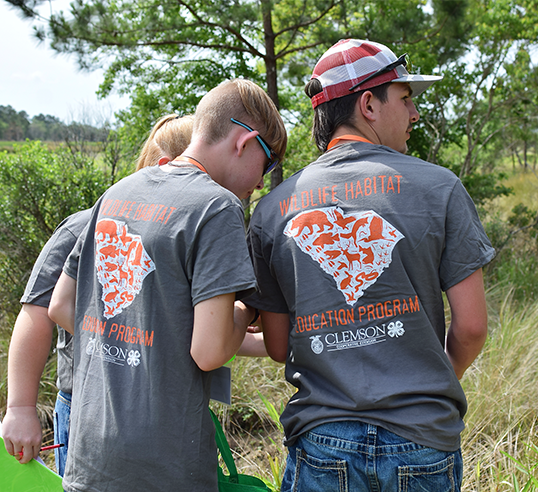 Three team members competing