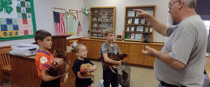 showmanship lesson