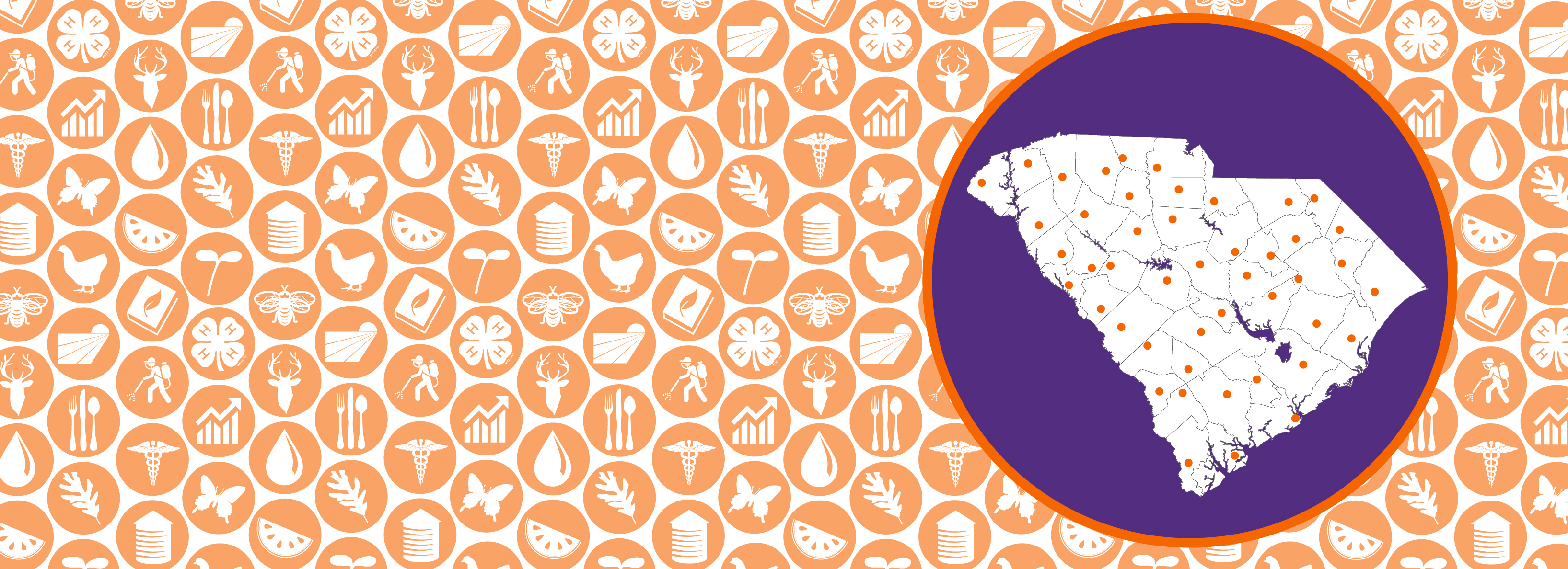 repeated collection of agriculture and natural resources icons, a large purple circle and a map of south carolina