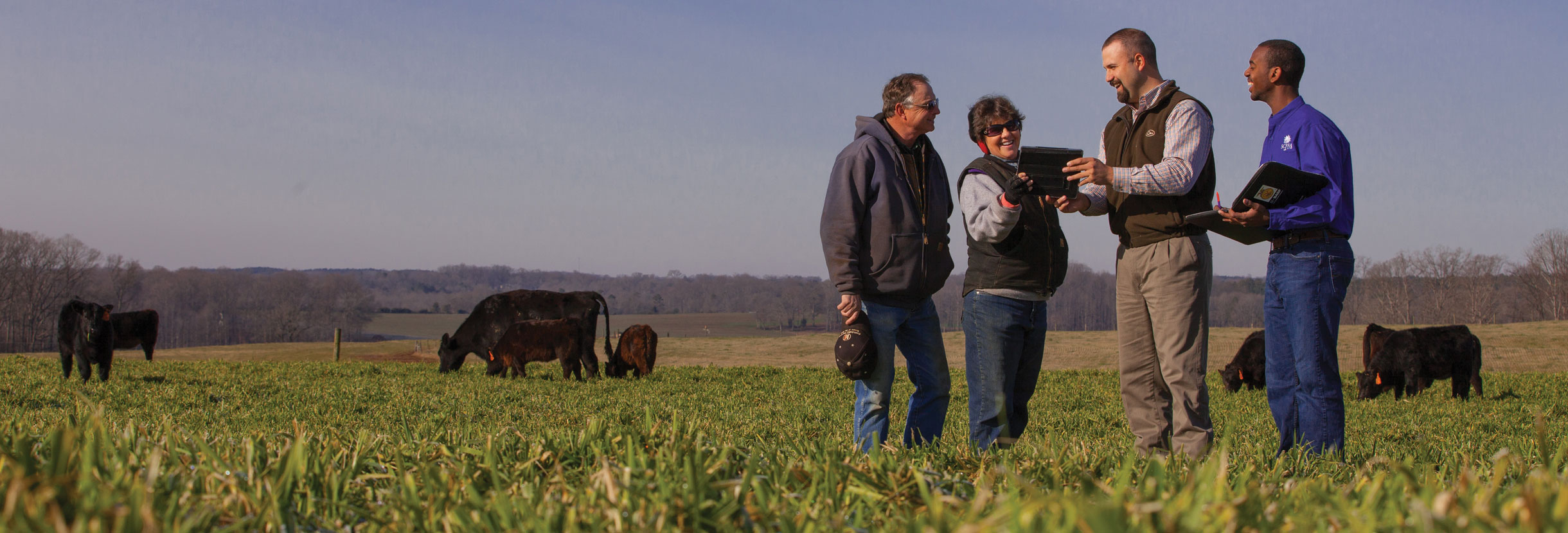 Image of four people in a beef cattle pasture sharing a notebook of information.