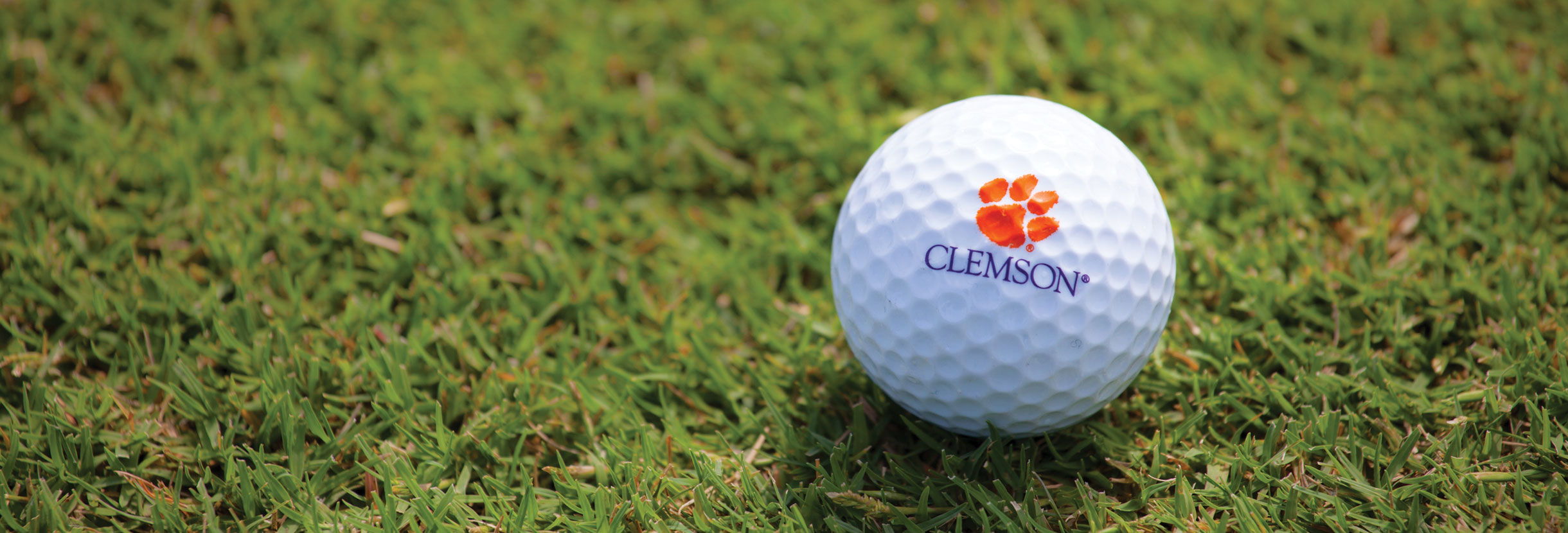 Clemson golf ball sitting on green turf