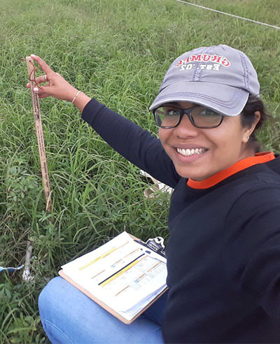 collecting forage measurements on alphapha bermuda grass field