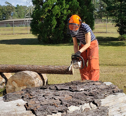 Extension demonstration on chainsaw safety