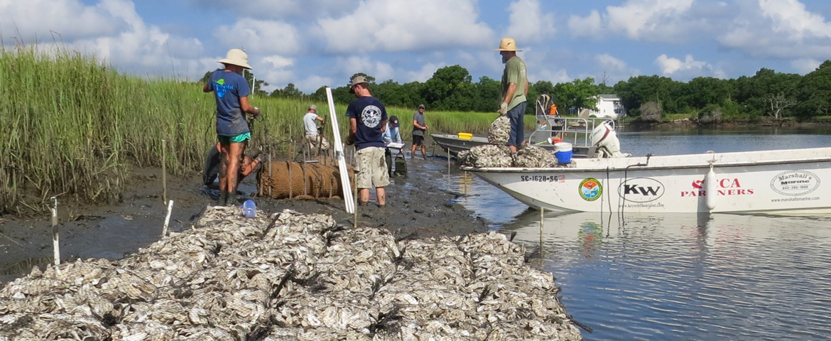 men in boats building a living shoreline