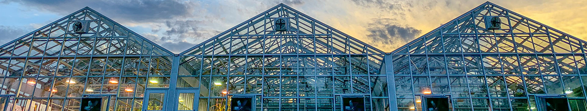 3 greenhouses at sunset