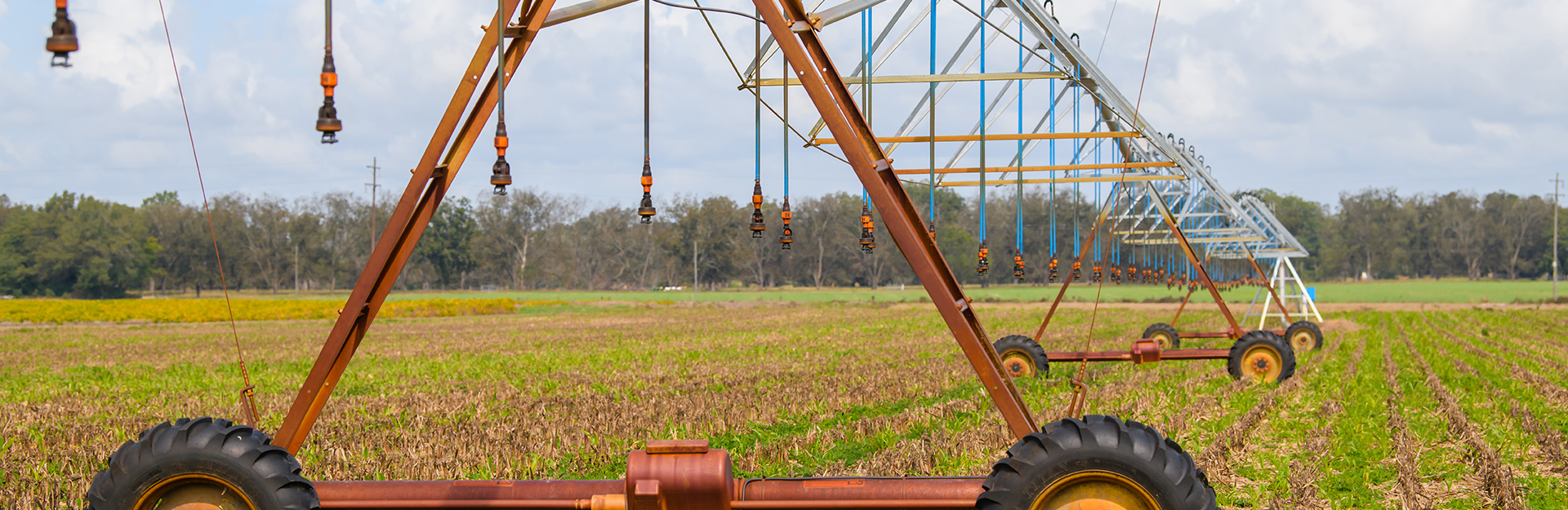 pivot irrigation system in a field of agronomic crops