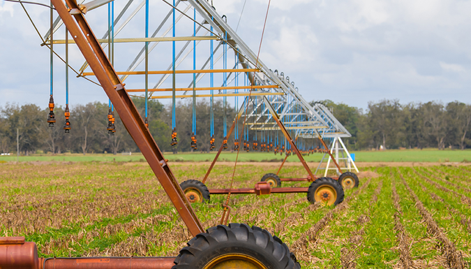 pivot irrigation in a row crop field