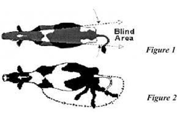 diagram of cattle blindspot