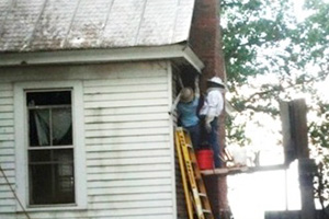 honey bee removal