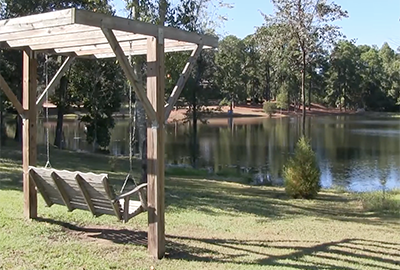 view of a pretty pond on a sunny day