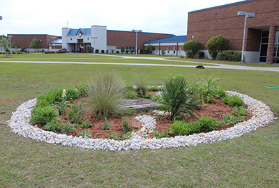 rain garden of the month