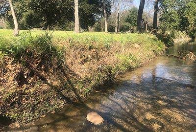 stream bank in need of repair