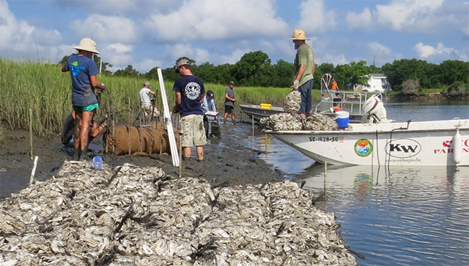 men in boats at the inlet shore arranging oyster shells