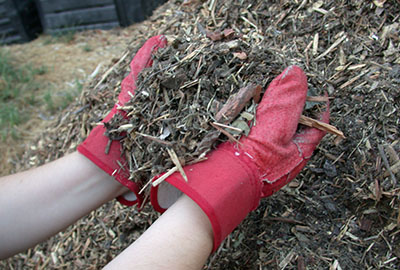 pile of mulch