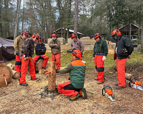 group of people around tree stump