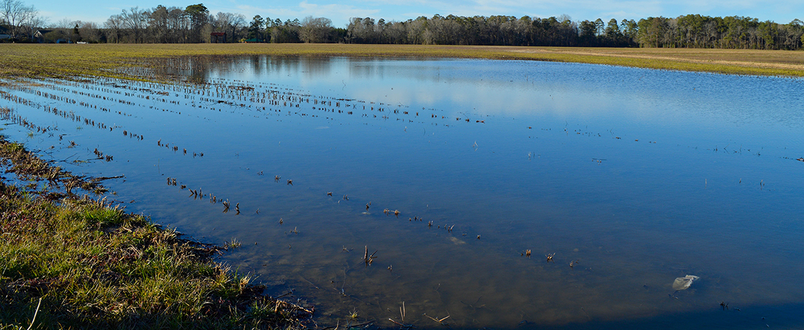 moving storm water