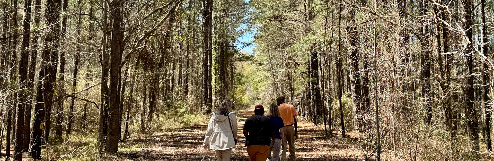people in forest