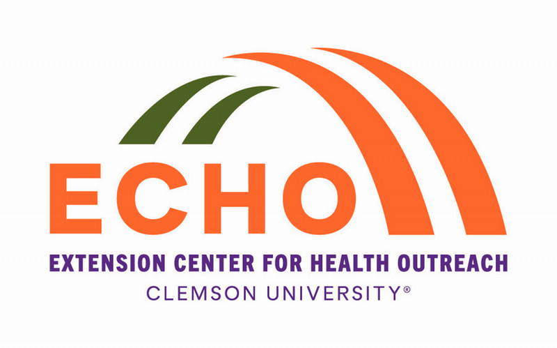 echo logo