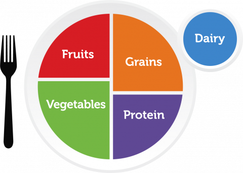 usda's my plate illustration labelled.png