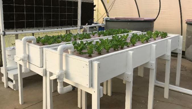 a typical aquaponics system with a fish tank plan