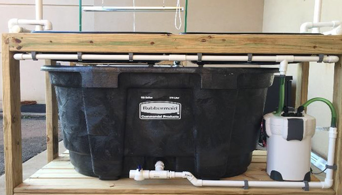 Education system aquaponics example