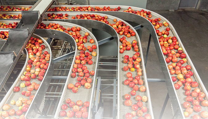 apples on conveyer belts