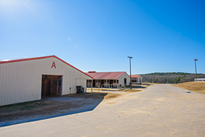 A and B Barns exterior