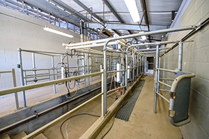 milking parlor