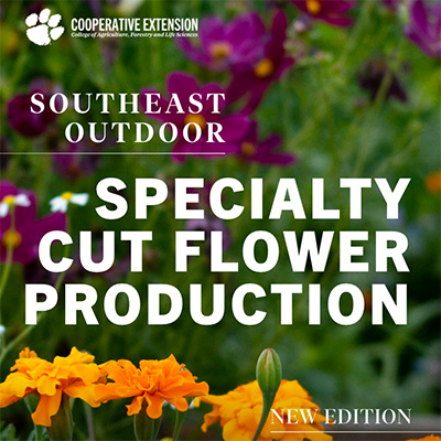 cut flower production manual