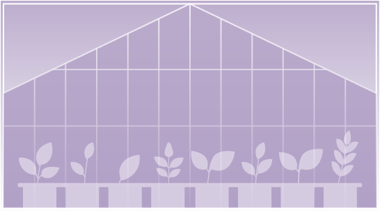 greenhouse
