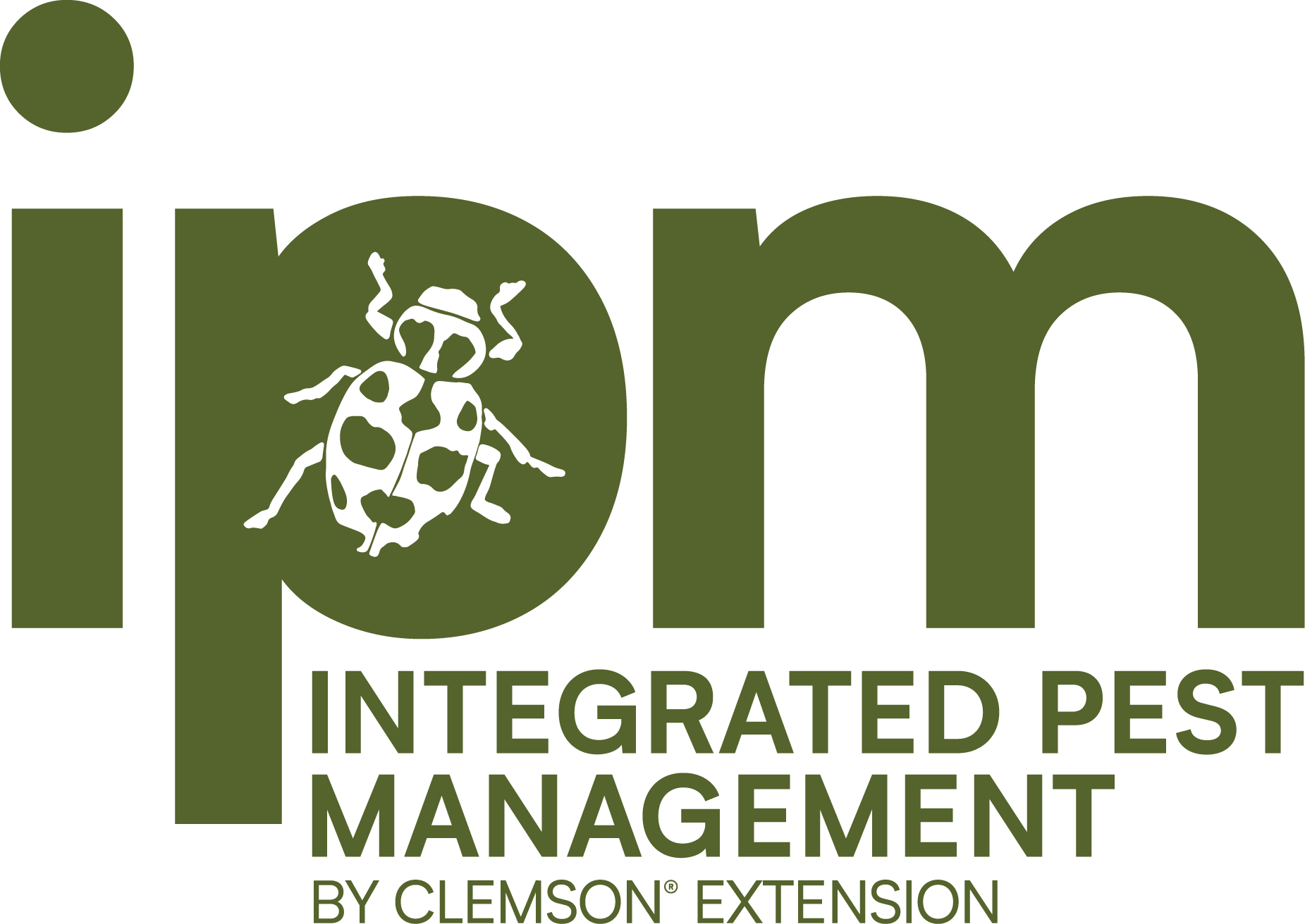 integrated pest management