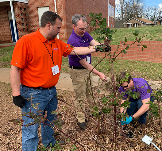 EELI participants working in a garden