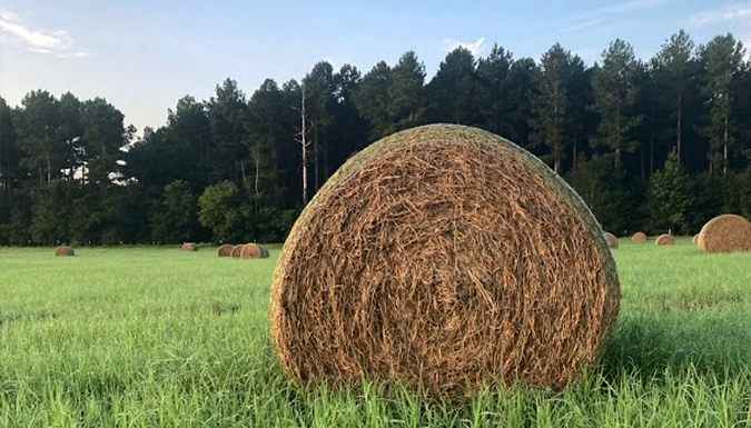 Hay bale