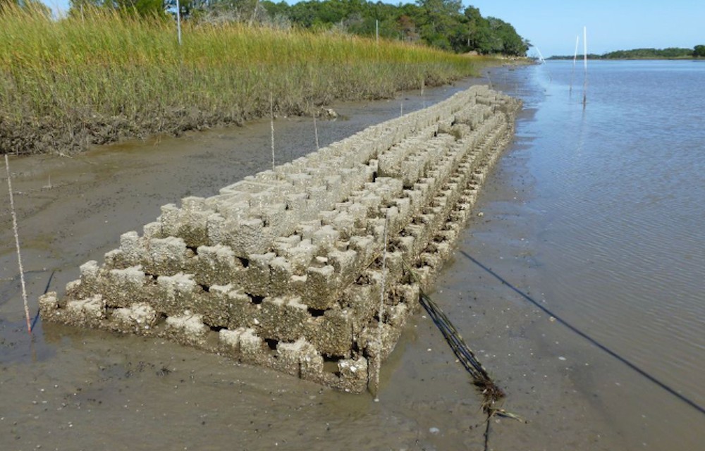 oyster castle installation