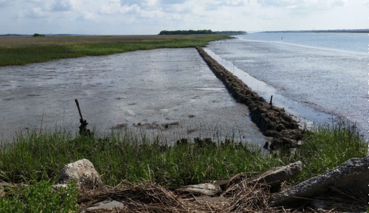 oyster castles and bagged oyster shell installed in marsh area