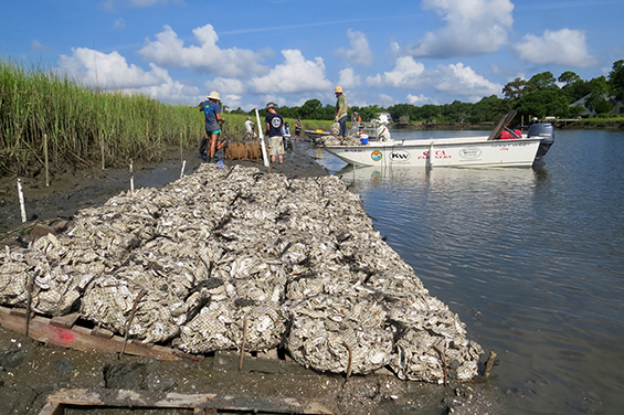 oyster shell bag installation