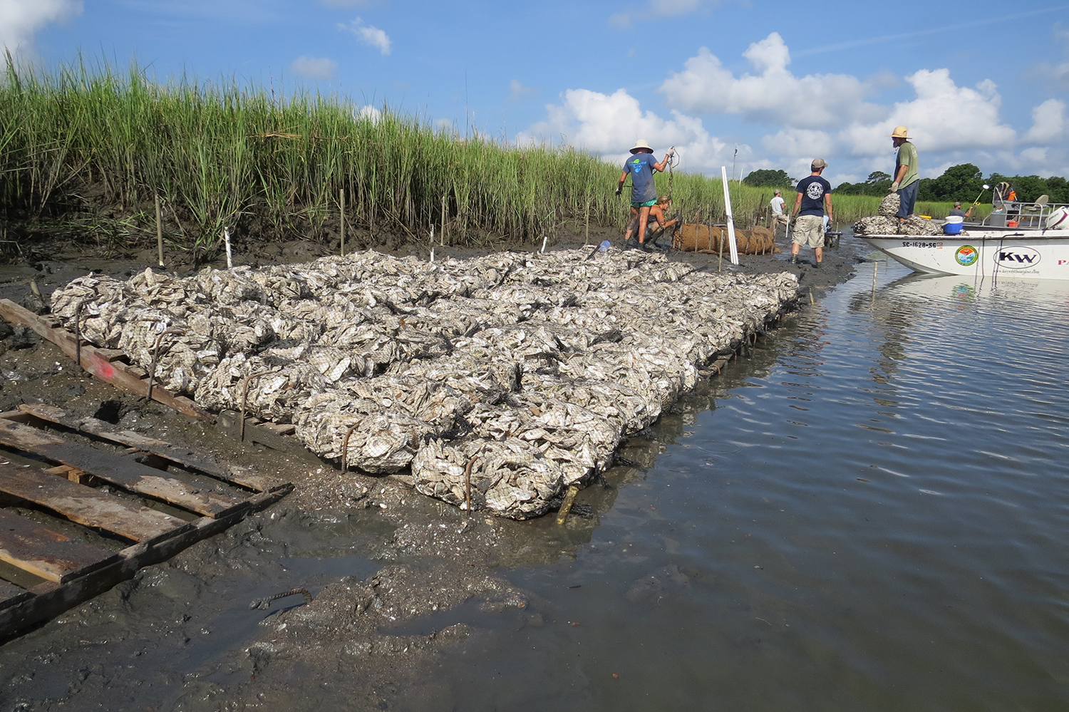 oyster shell bags